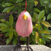 Mini poule en métal