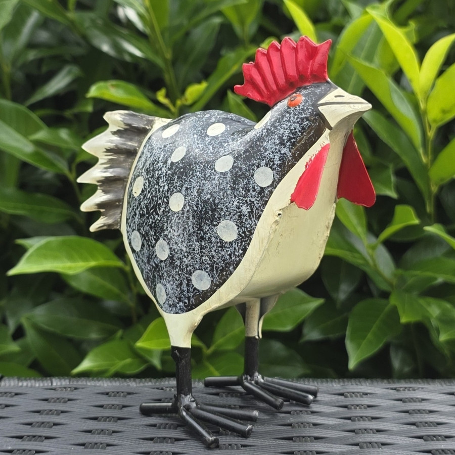 Coq "confettis" noir et blanc