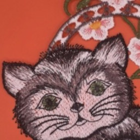 Petit chat dans son panier