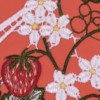 Broderie Fraise